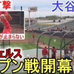 ディアブロスタジアムでフリー打撃！【大谷翔平選手】オープン戦開幕でニコニコ笑顔が止まらない！ Shohei Ohtani 2023 Spring Game Day 1