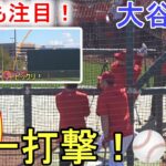 ディアブロスタジアムでフリー打撃！～ショートバージョン～【大谷翔平選手】 Shohei Ohtani 2023 Spring Training Day ９