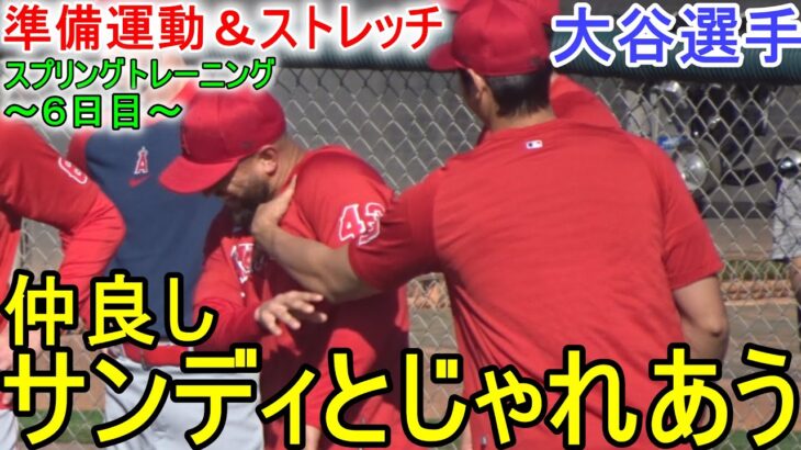 仲良しサンディとじゃれあう【大谷翔平選手】準備運動＆ストレッチ Shohei Ohtani 2023 Spring Training Day 6