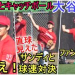 ①生声え②サンディと球速対決③ファンサービス【大谷翔平選手】サンドバル投手と仲良くキャッチボール Shohei Ohtani 2023 Spring Training Day 6