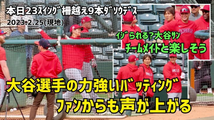 大谷選手のフリーバッティングを見たファンも興奮 フォー  Shohei Ohtani Angels  大谷翔平