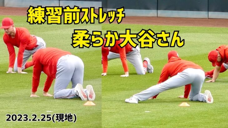 練習前ストレッチ 柔らか大谷さん Shohei Ohtani Angels 大谷翔平