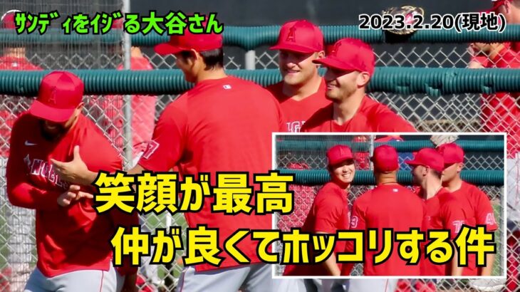 サンディをイジる大谷さん 仲が良くてほっこりする件 Shohei Ohtani Patrick Sandoval Angels スプリングトレーニング 2023 大谷翔平