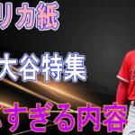 大谷翔平をワシントン・ポスト紙が大絶賛！WARから算出した大谷のFA年俸額「105億円」に一同驚愕！