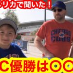 現地アメリカで聞いた！ズバりWBC優勝チームは〇〇だ！圧倒的な答えに戦々恐々．．．【現地取材】