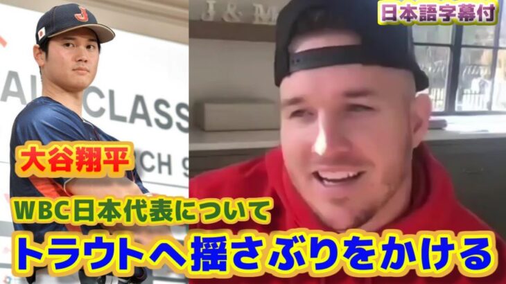 大谷翔平　トラウトに揺さぶりをかける　WBC日本代表は自分よりもいい選手がいると話す　日本語翻訳字幕付