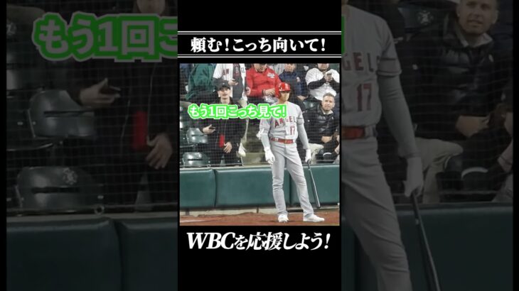 どうしてもオオタニサンとツーショを撮りたいお兄さん #大谷翔平 #エンゼルス #WBC #shorts