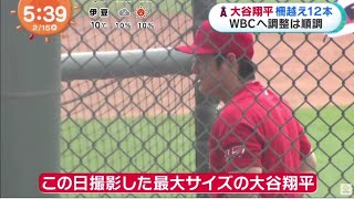 大谷翔平【WBC】柵越え12本 WBCへ調整は順調で大谷 “二刀流” は 柵越え連発! 130m大谷二刀流調整で万全　フリー打撃で26スイングし圧巻の柵越え12本│めざましテレビ 2023年2月15日