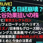 【円安が支える日経平均/ミズノとWBC大谷翔平効果ウェルスナビ/東京エレクトロン/エムスリー/フェローテック/日本の利上げと相場/SUBARU/JR九州/JAPANStockMarket】