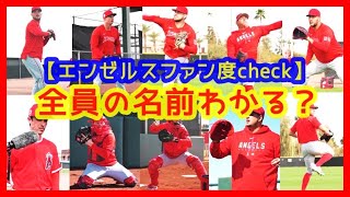 ⚾この選手全員の名前わかる？ｗ【エンゼルスファン度check】