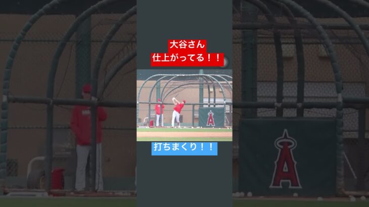 既に仕上がってる大谷翔平選手！！ #大谷翔平 #shoheiohtani