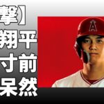 大谷翔平の二刀流に「待った」がかかる可能性があるとスポーツ紙デスクが語った！優勝候補筆頭の米国は順調に戦力を整えているという！