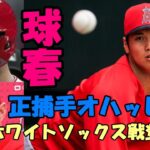 「大谷翔平登板２７日ホワイトソックス戦」フィル・ネビン監督明言、正捕手ローガン・オハッピーか！？