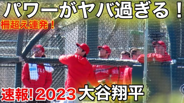 最新！今年の大谷、パワーがヤバ過ぎる！キャンプで柵超え連発！【現地映像】