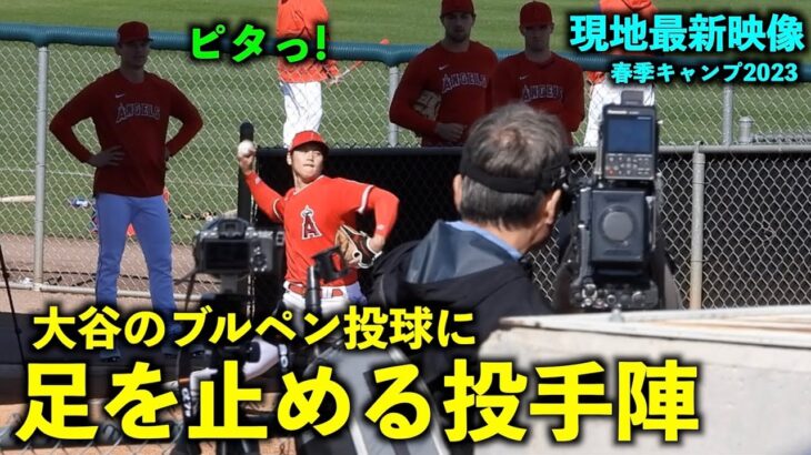 【アメリカ最新映像】大谷翔平のブルペン投球に足を止めるピッチャー陣！エンゼルス春季キャンプ【現地映像】