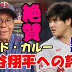 ロッド・カルーの波紋を広げた呟きと大谷翔平への本当の評価とは！え！モレノさんと仲が悪かったの？