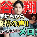 【同僚たちから驚愕の声】大谷翔平のメロン肩「とんでもない筋肉だ」