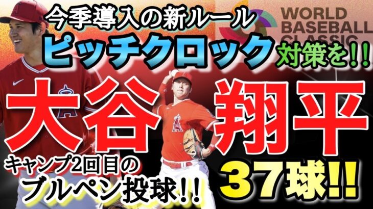 大谷翔平「ピッチクロック」対策進める　キャンプ２回目のブルペン投球！