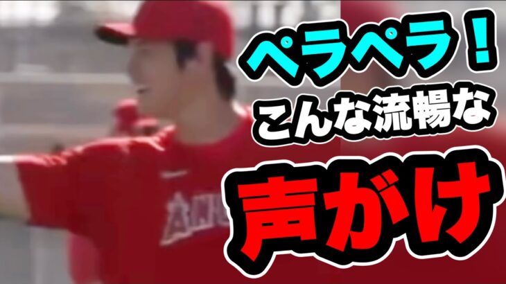 大谷翔平ペラペラ声がけヤバい！？チーム練習で攻守に躍動