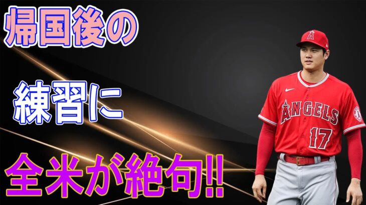 大谷翔平のオフ中のトレーニングに海外メディアが驚愕！大谷が覚醒した練習方法がヤバすぎる！