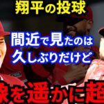 大谷翔平の残留を切望するサンドバルが漏らした”本音”がヤバすぎる…仲良し同僚の生きる教材！エンゼルスのリーダーに拍手喝采【海外の反応】