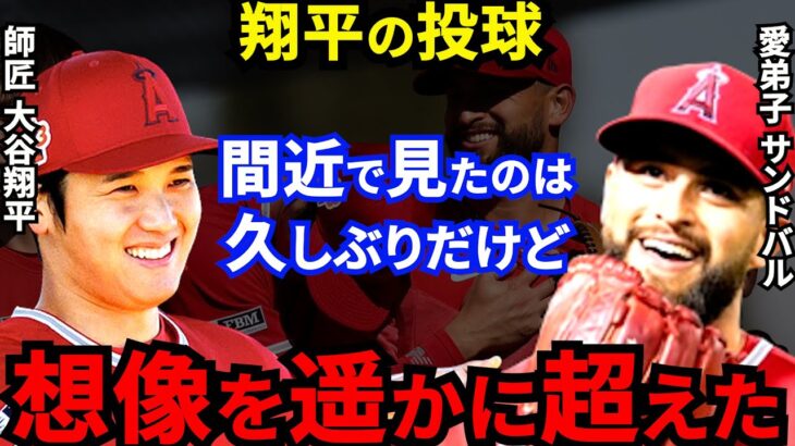 大谷翔平の残留を切望するサンドバルが漏らした”本音”がヤバすぎる…仲良し同僚の生きる教材！エンゼルスのリーダーに拍手喝采【海外の反応】