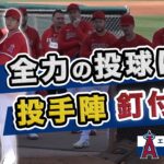 【大谷翔平】エンゼルスキャンプ４日目！大谷全力の投球に投手陣も釘付け！