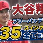 【大谷翔平】エンゼルスキャンプ３日目！フリーバッティング３５スイング全て見せます！