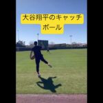 大谷翔平のキャッチボール