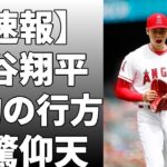 大谷翔平との契約延長の可能性について質問に答えた！大谷との契約延長交渉が進展したか問われると「それはない」と！