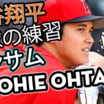 大谷翔平 vs 天使「野球界の美女」「野球の練習」ホームランShohie Ohtani