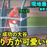 最新映像!【現地速報】大谷翔平 バント成功でドヤり方が可愛い件w エンゼルス春季キャンプ【現地映像】