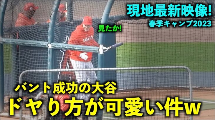 最新映像!【現地速報】大谷翔平 バント成功でドヤり方が可愛い件w エンゼルス春季キャンプ【現地映像】