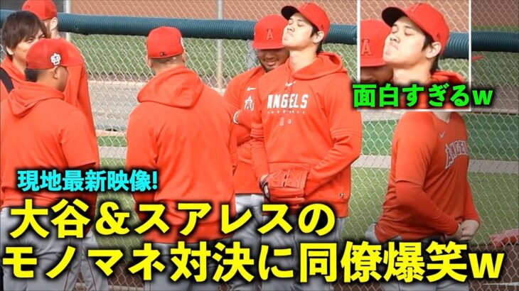 最新映像！【現地速報】大谷翔平とスアレスのモノマネ対決が面白すぎるw エンゼルス 春季キャンプ2023【現地映像】