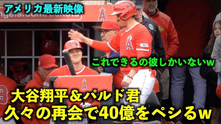 【アメリカ最新映像】最強すぎるw 久々の再会で大谷翔平の頭をペシるBBのパルド君w 春季キャンプ2023【現地映像】