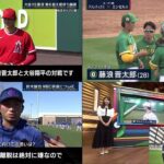 03月01日 プロ野球ニュース& MLB & WBC 大谷翔平が日本上陸！空港上空のメディアのヘリに驚きの声『さっきから飛んでいるなと思ったら…』『こりゃー大変だ』