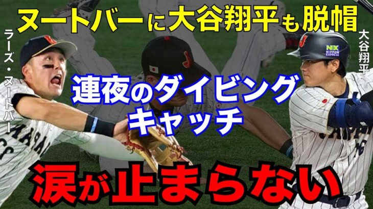 【#侍ジャパン 】日本中が涙#大谷翔平 も脱帽#ヌートバー 連夜のダイビングキャッチに「1番サムライしてる」#韓国 に大勝【#海外の反応 】