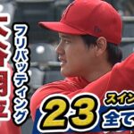 【大谷翔平】エンゼルスキャンプ11日目！フリーバッティング２３スイング全て見せます！