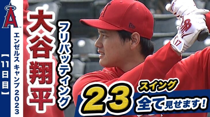 【大谷翔平】エンゼルスキャンプ11日目！フリーバッティング２３スイング全て見せます！