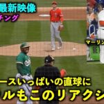 【アメリカ最新映像】安定感！大谷翔平コースギリギリの直球にアギラルもこのリアクション！春季キャンプ2023【現地映像】