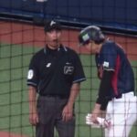 試合中に何やら楽しそうな大谷翔平選手と白井一行審判員【2023.3.7 オリックス vs 日本代表（侍ジャパン） WBC強化試合 ＠京セラドーム大阪】