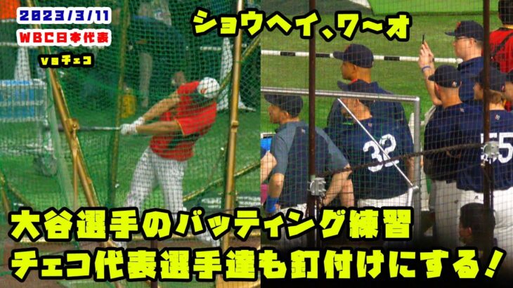 大谷選手のバッティング練習　チェコ代表も釘付けにする！　2023/3/11 侍ジャパンvsチェコ