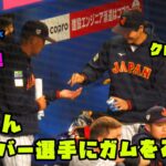 大谷くん　ヌートバー選手にガムをあげる！　2023/3/3 WBC侍ジャパン vs 中日ドラゴンズ