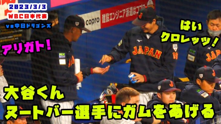 大谷くん　ヌートバー選手にガムをあげる！　2023/3/3 WBC侍ジャパン vs 中日ドラゴンズ