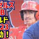 貫禄のパルド君2023始動‼️大谷翔平が信頼を寄せるエンゼルスのBB【現地映像】ShoheiOhtani Angels