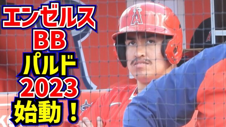 貫禄のパルド君2023始動‼️大谷翔平が信頼を寄せるエンゼルスのBB【現地映像】ShoheiOhtani Angels