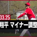 #大谷翔平 #エンゼルス マイナーで調整登板＆インタビュー  3.25