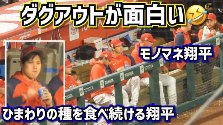 大谷翔平エンゼルスのダグアウトが面白い🤣【現地映像】3/27オープン戦vsドジャース ShoheiOhtani  Angels