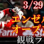 3/29(水曜日) 大谷翔平 3番DHで出場！エンゼルス オープン戦（最終戦）VS ドジャース @エンゼルススタジアム 観戦ライブ #wbc #大谷翔平 #ライブ