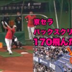 【上段に座ってたが上段にめっちゃ飛んでくる大谷翔平の打撃練習！！】3月7日 対オリックス戦